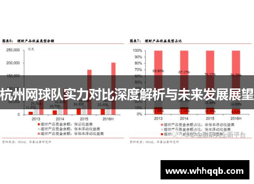 杭州网球队实力对比深度解析与未来发展展望